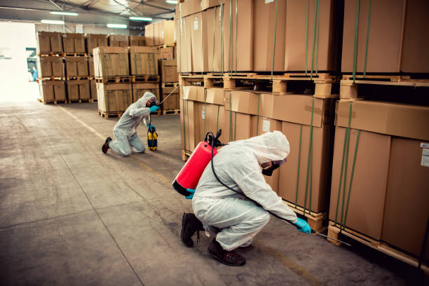 Best Pest Prevention Services  in Coraopolis, PA