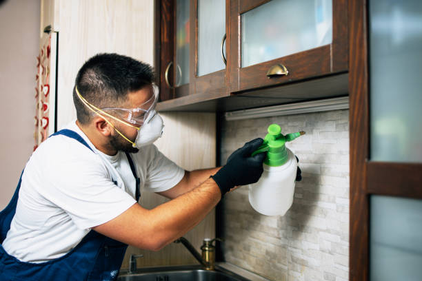 Best Mosquito Control Services  in Coraopolis, PA