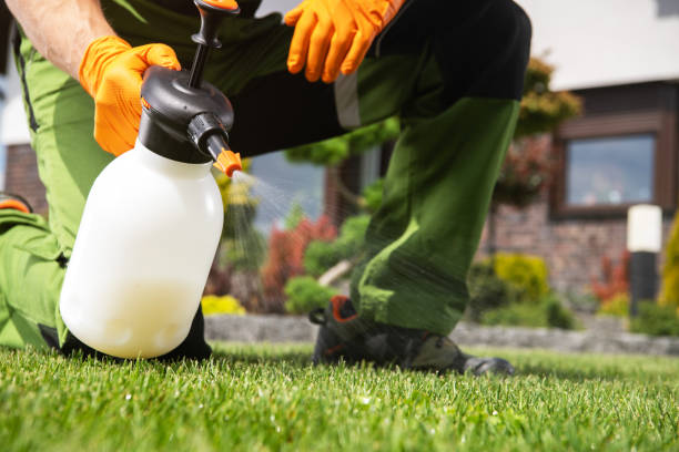 Best Commercial Pest Control Services  in Coraopolis, PA