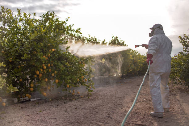 Best Pest Prevention Services  in Coraopolis, PA