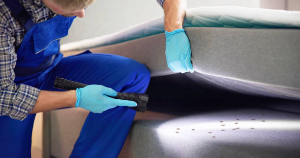 Best Bed Bug Extermination  in Coraopolis, PA