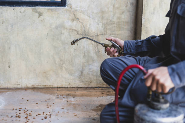 Reliable Coraopolis, PA Pest Control Solutions